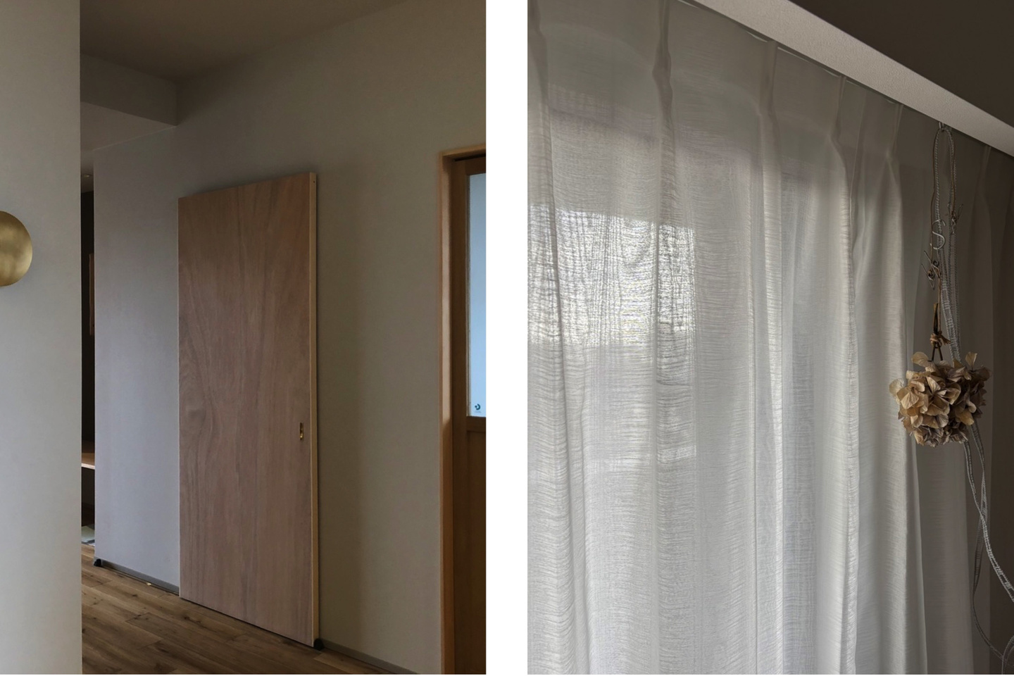 くつろいでいる猫